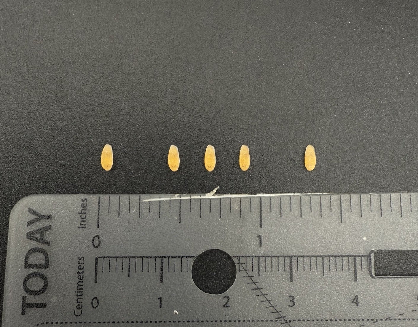 5 Pack 1/50 Amber Roof Clearance Light Cab Marker For DCP Truck Big Rig Tractor3