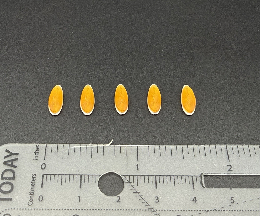 5 Pack 1/18 Scale Model Amber Roof Clearance Light Cab Marker Pickup Truck 1863A10