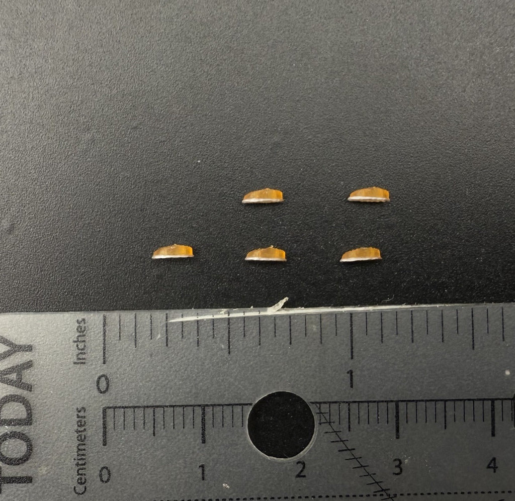 5 Pack 1/50 Amber Roof Clearance Light Cab Marker For DCP Truck Big Rig Tractor1