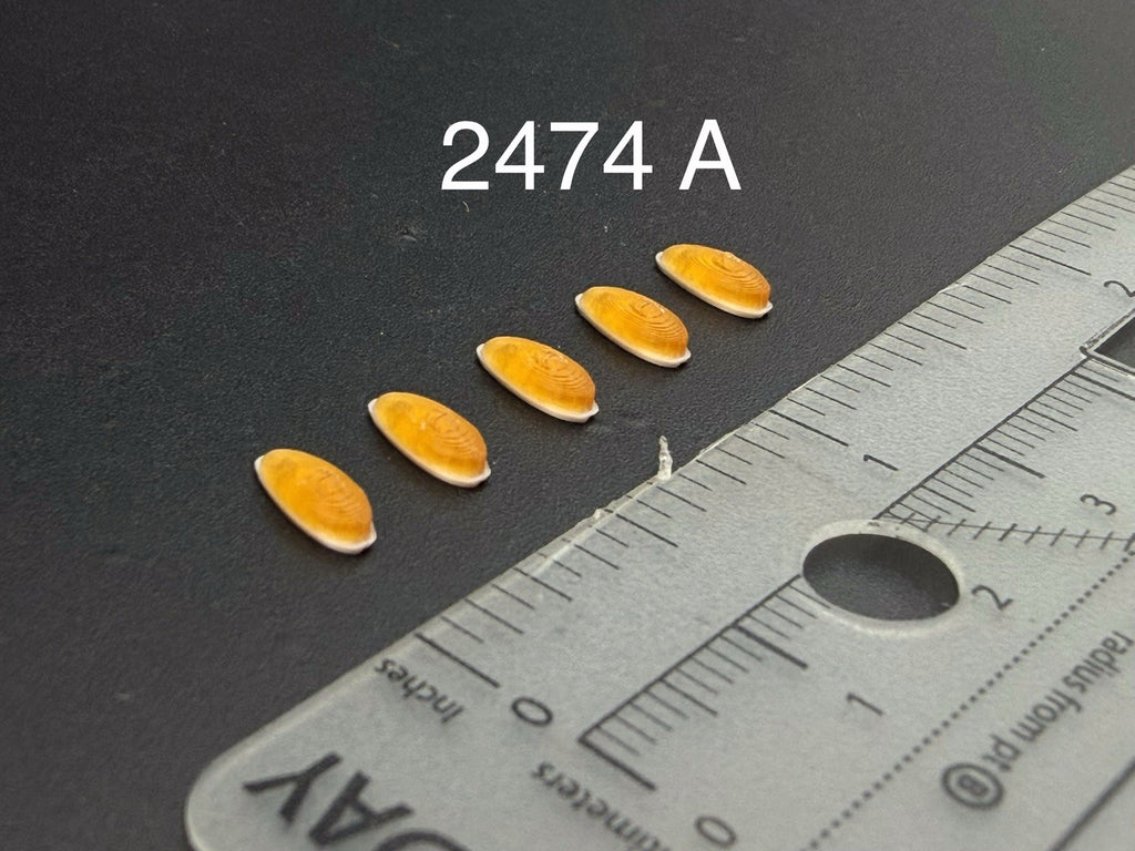 1/24 25 Scale Model Amber Roof Clearance Light Cab Marker Pickup Truck 2474A0
